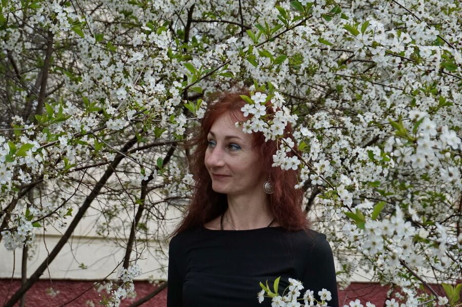 In white cherry-flowers