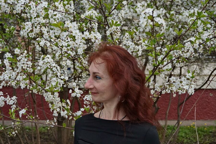 In white cherry-flowers