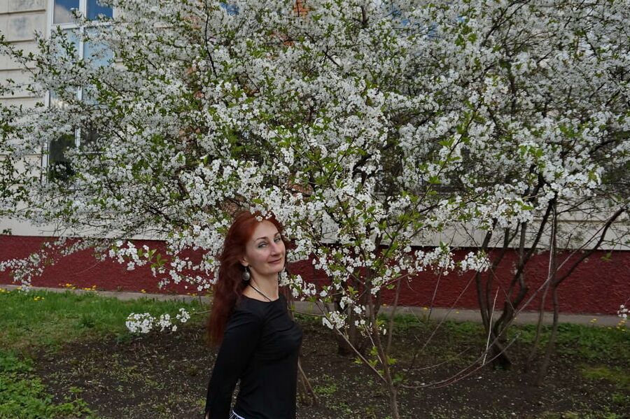 In white cherry-flowers
