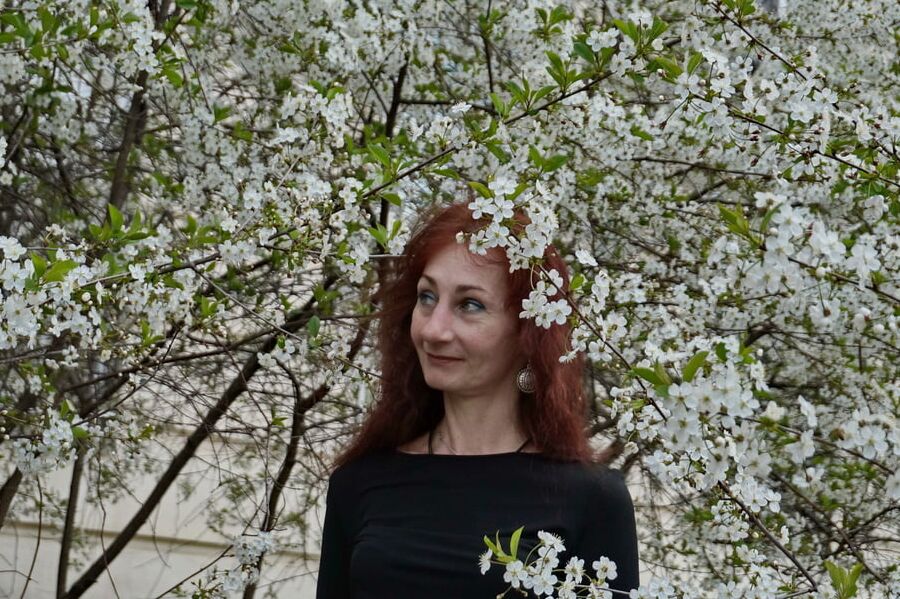In white cherry-flowers