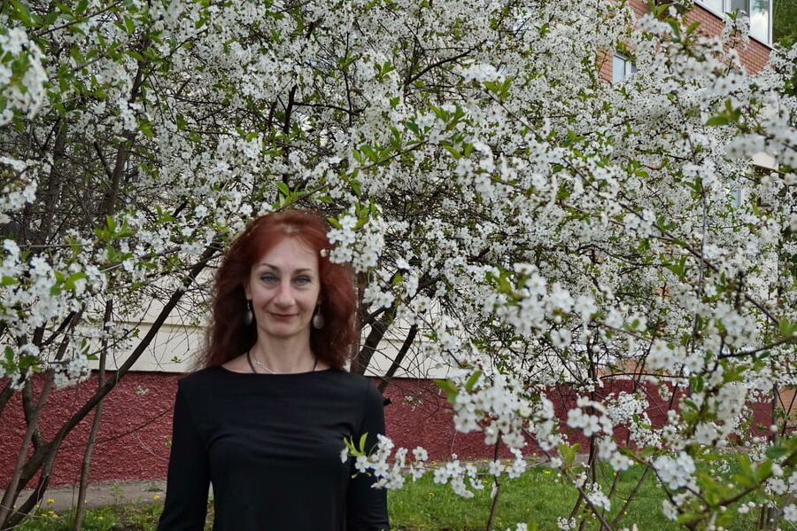 In white cherry-flowers