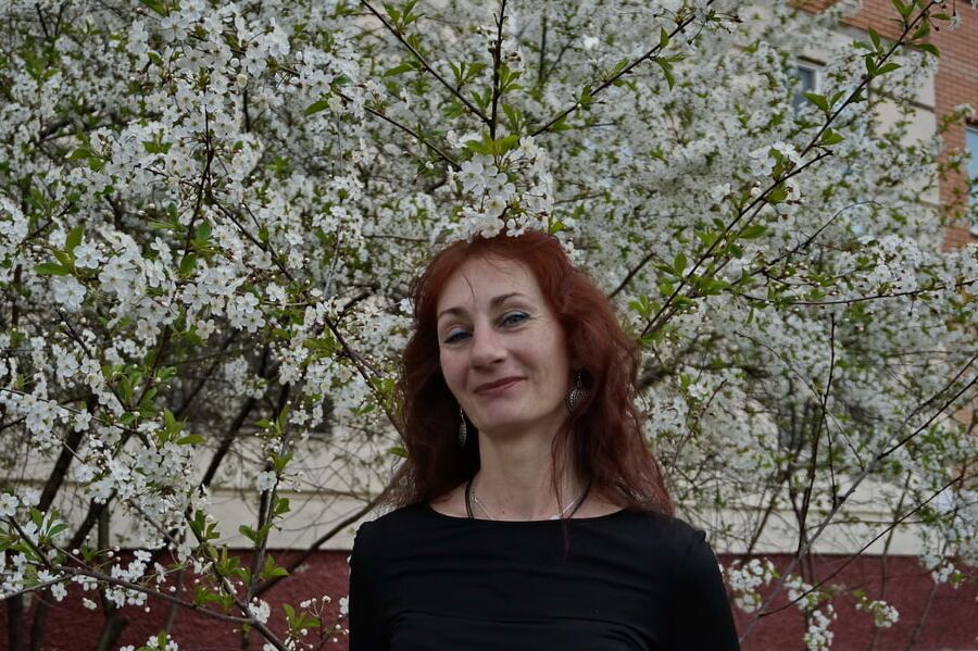 In white cherry-flowers