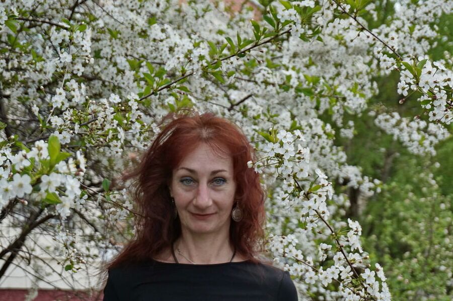 In white cherry-flowers
