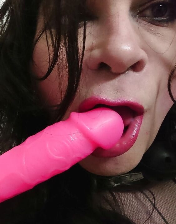 Cock suck training