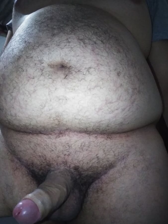 Um Ursinho