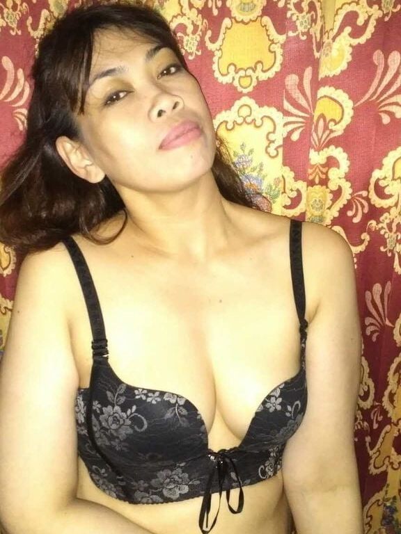 My Malay Sluts Collections