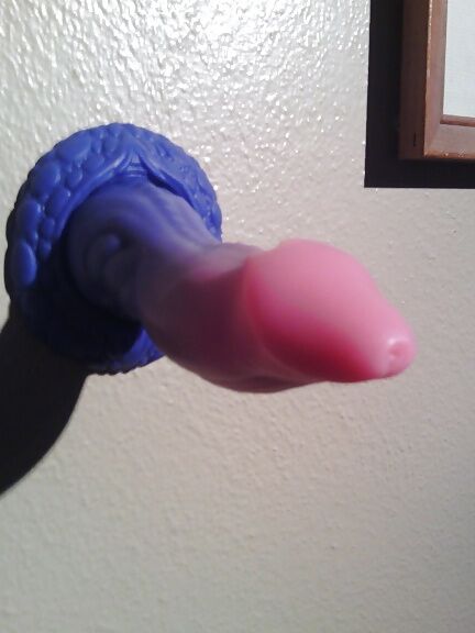 ToyinNTenn - Bad Dragon - Apollo med-soft