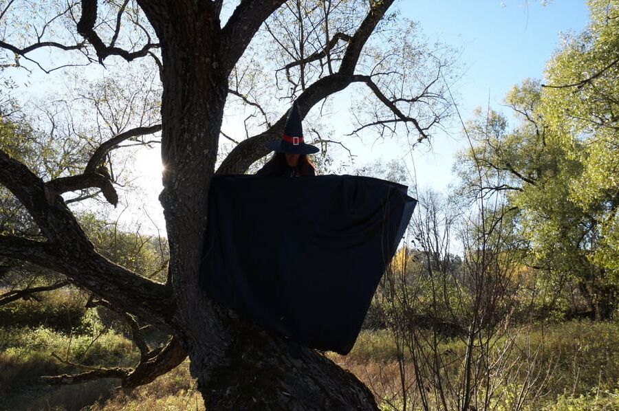 Witch on the Tree
