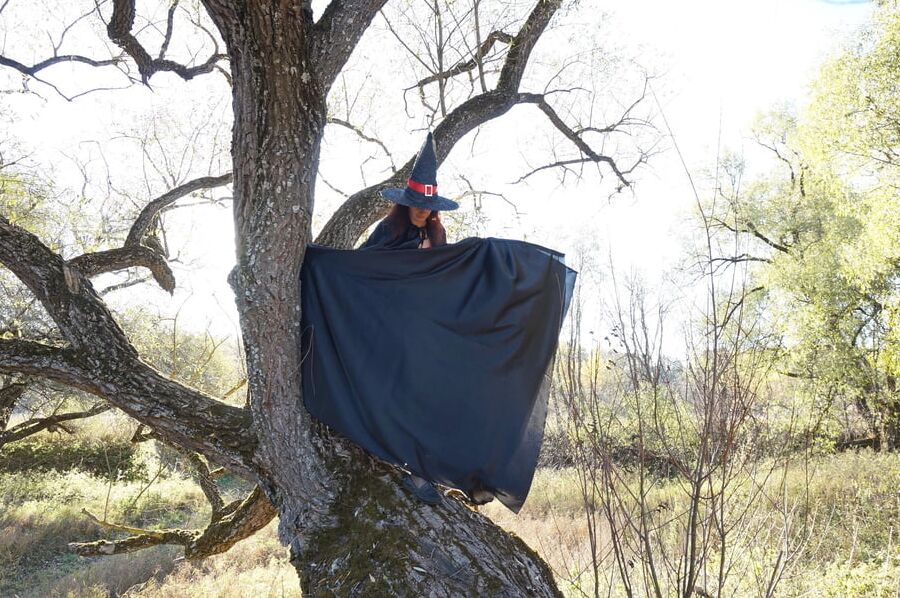 Witch on the Tree