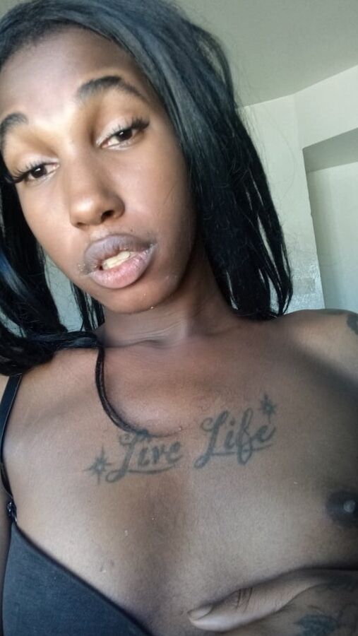 La Nefertiti Perkins