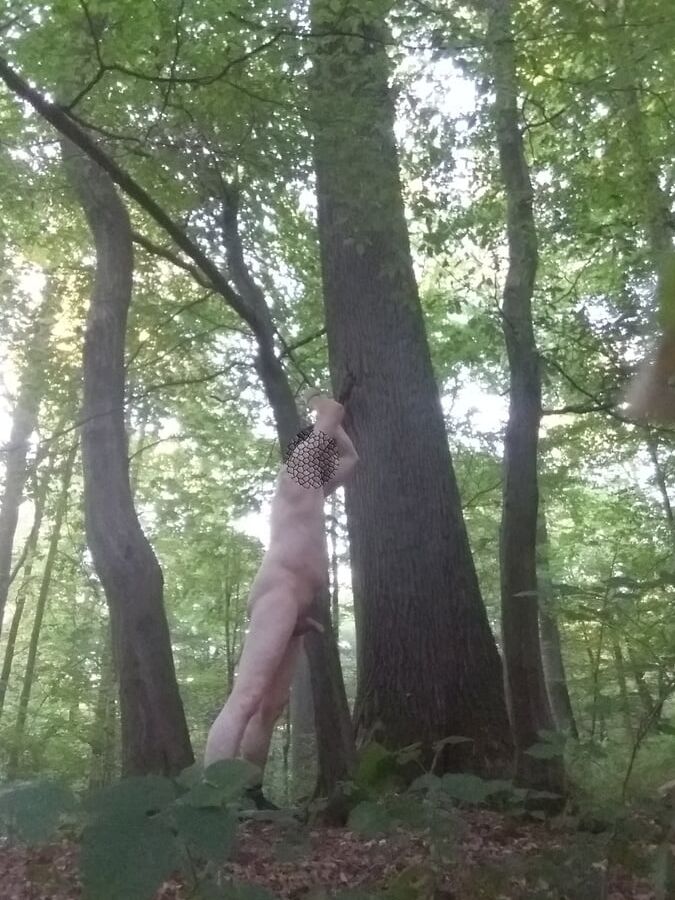 In einem Wald in der Naehe von Bonn