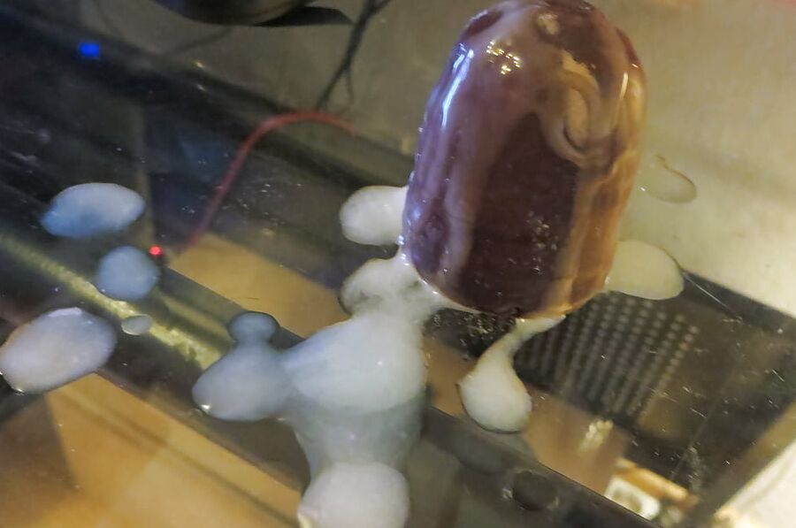 cum coated whippet coockie