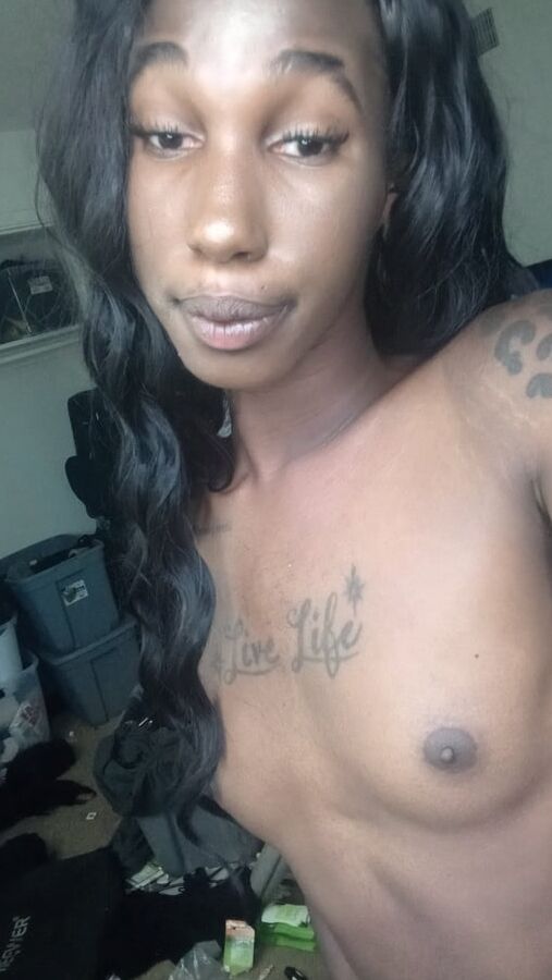 La Nefertiti Perkins