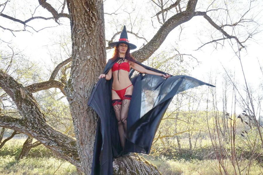 Witch on the Tree