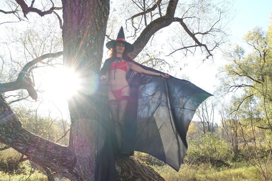 Witch on the Tree