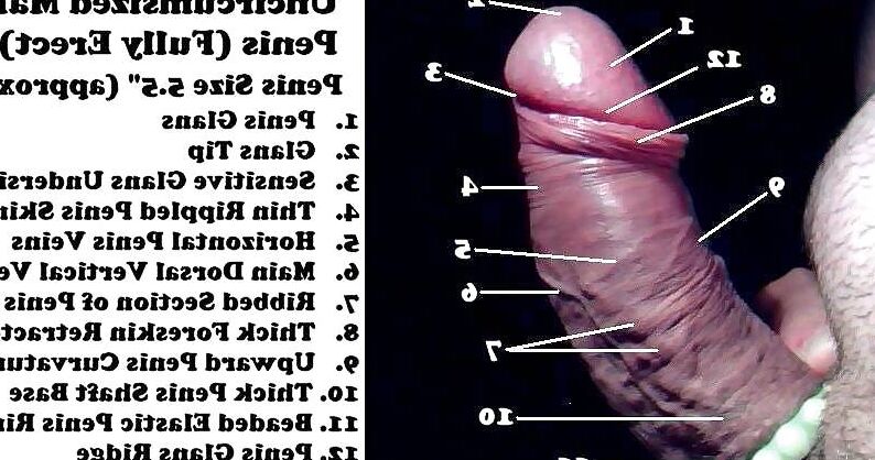 Standing my cock up to give you somewhere to sit down