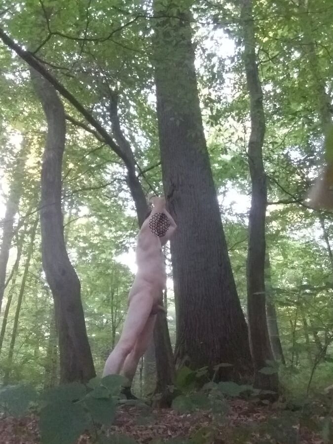 In einem Wald in der Naehe von Bonn