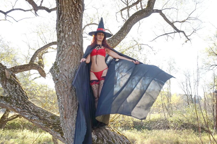 Witch on the Tree