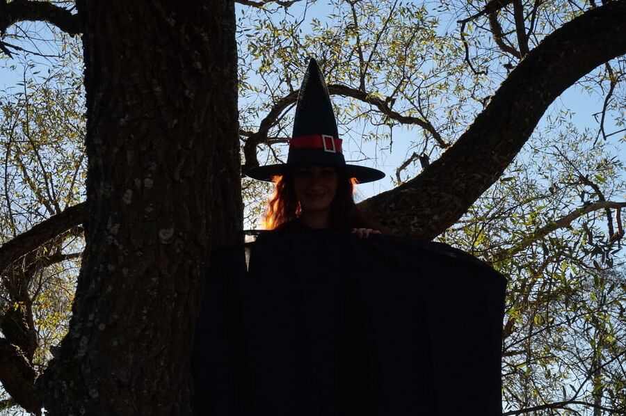 Witch on the Tree