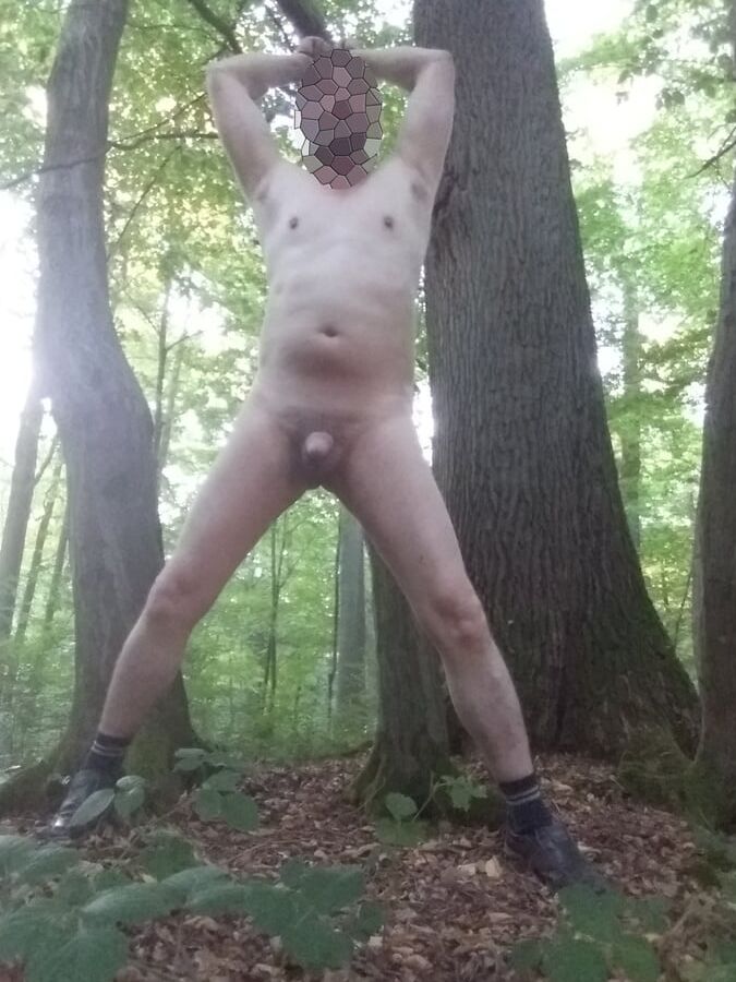 In einem Wald in der Naehe von Bonn