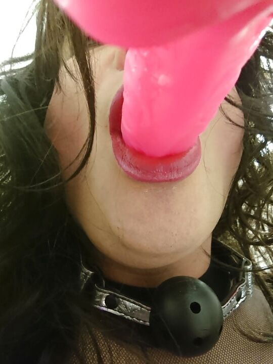 Cock suck training