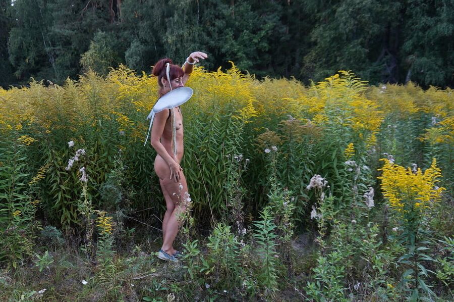 Little Elf near Yellow Flowers
