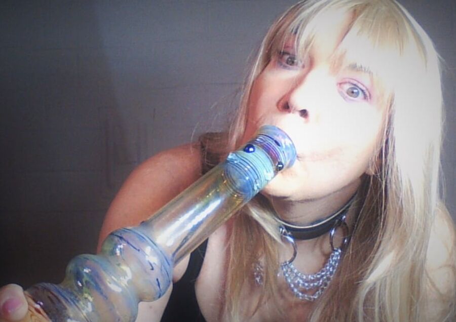Stupid Sissy Stoner