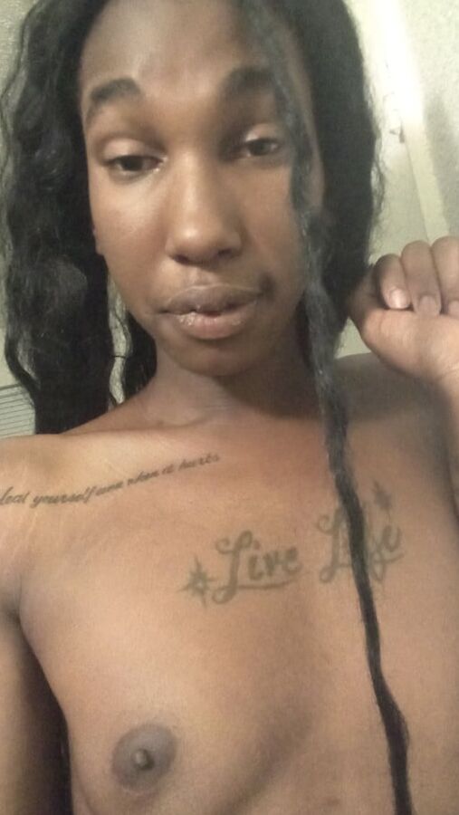 La Nefertiti Perkins
