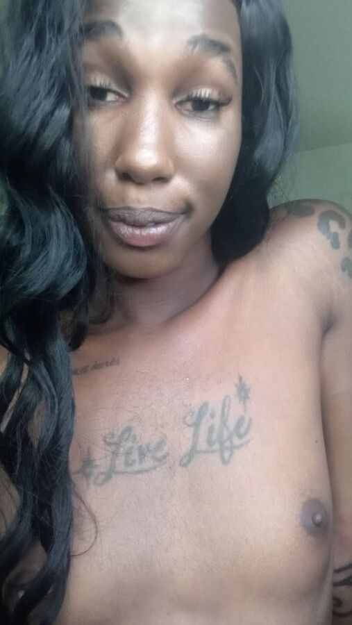 La Nefertiti Perkins
