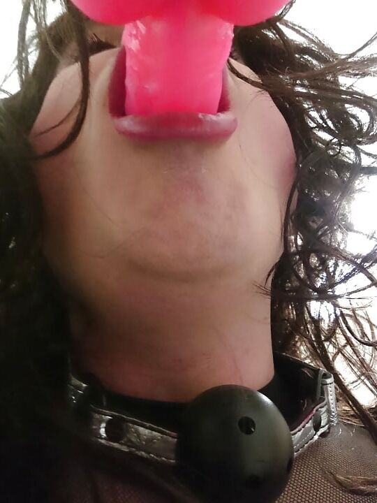 Cock suck training