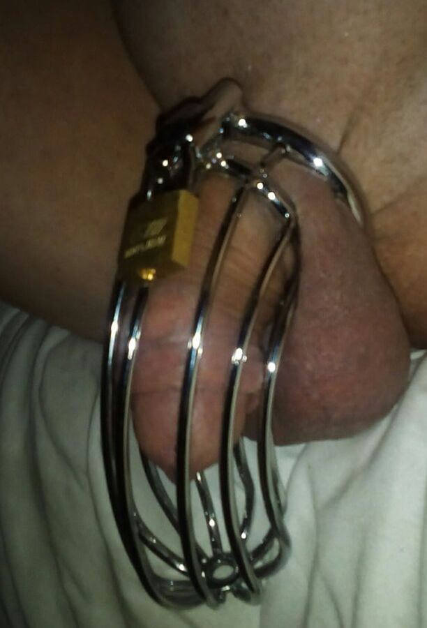 Penis cage pics: no orgasm for weeks.