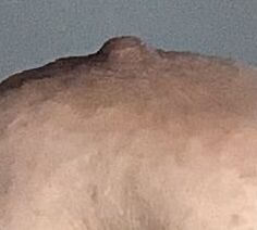 Anatomy of a big brown bbw nipple close up and natural