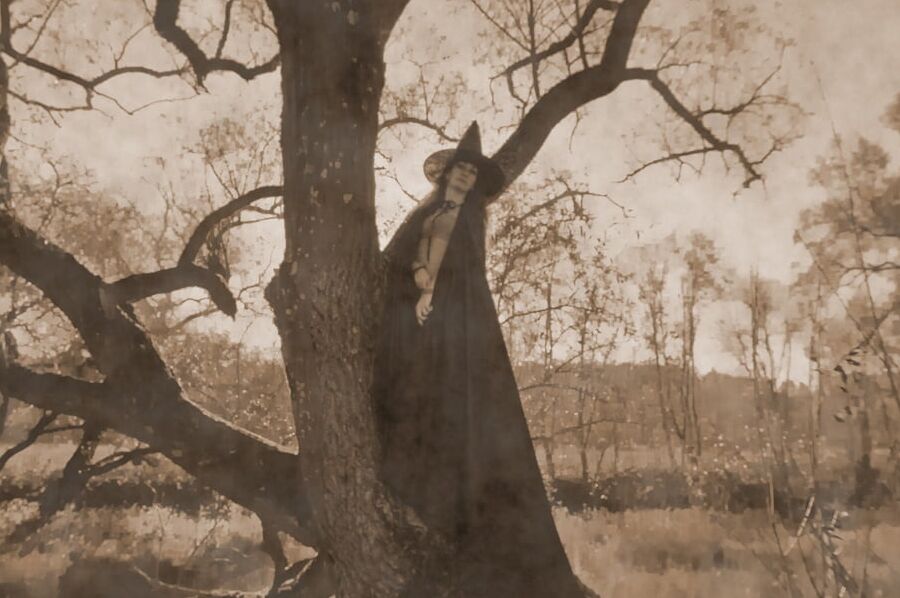 Witch on the Tree