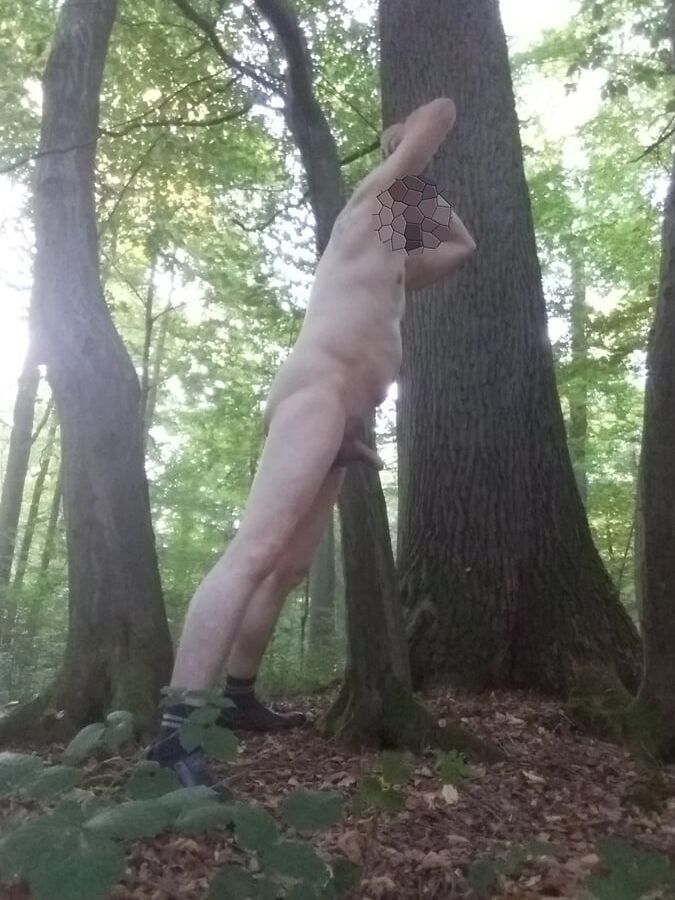 In einem Wald in der Naehe von Bonn
