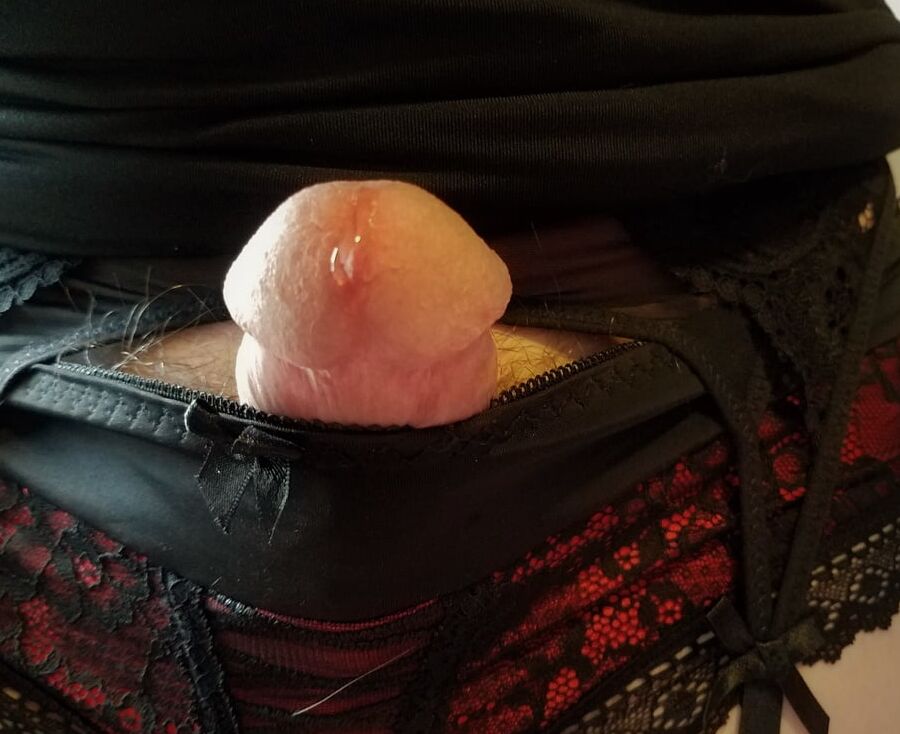 Sissy Teaser Gallery of New Stuff