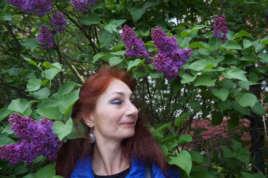 In the purple lilac