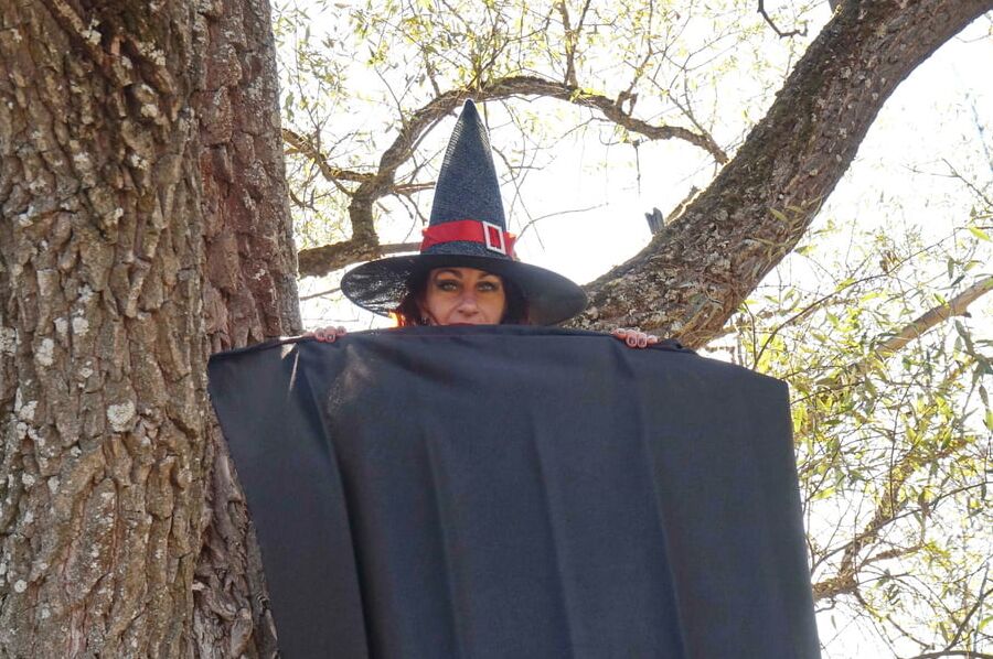 Witch on the Tree