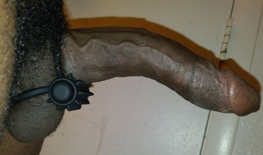 My Dick in A Cock Ring