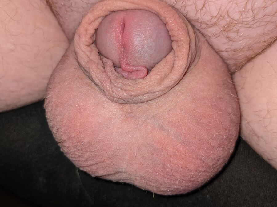 Another Small Dick Gallery