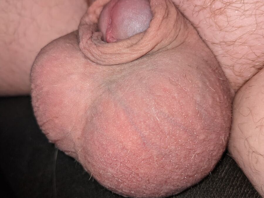 Another Small Dick Gallery