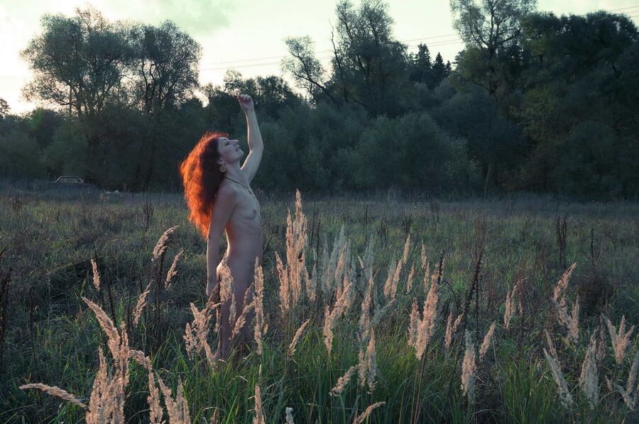 In Sunset Rays