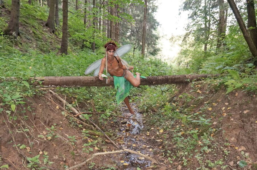 Elf on the log