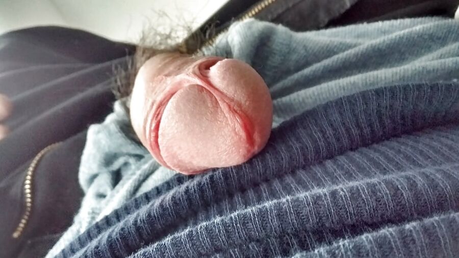 Mor of my dick