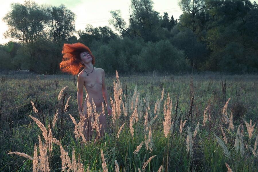 In Sunset Rays