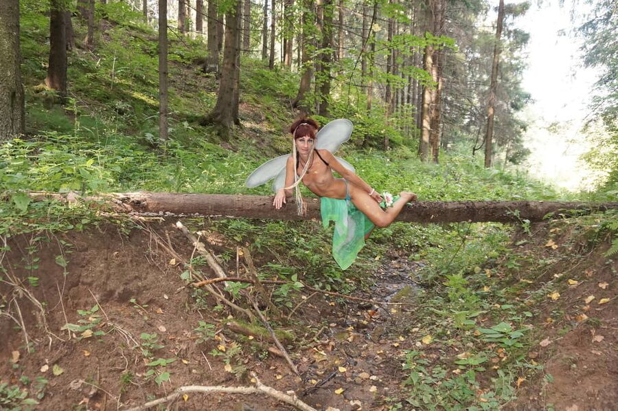Elf on the log