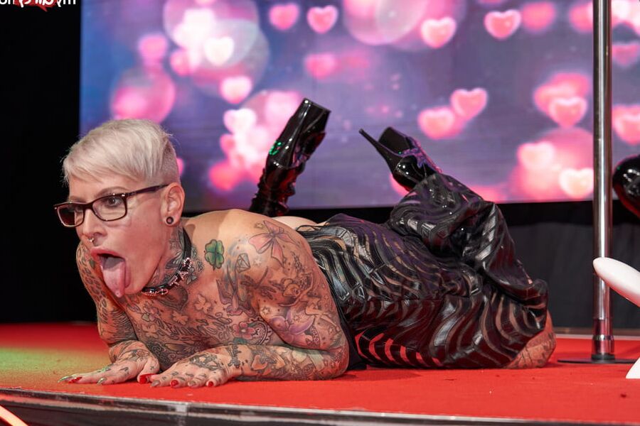 Cat-Cox