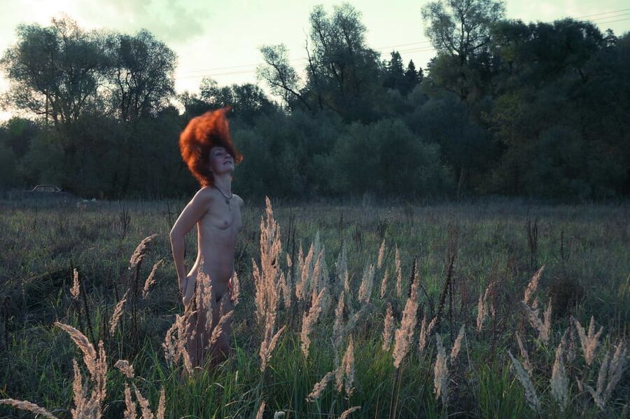 In Sunset Rays