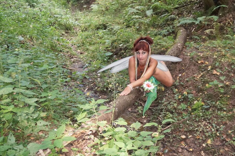 Elf on the log