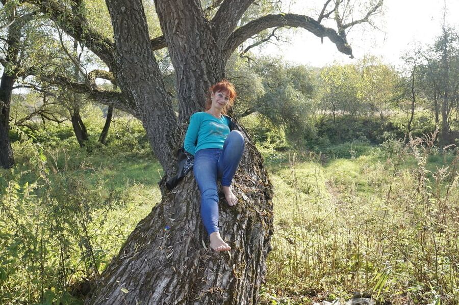 On old willow
