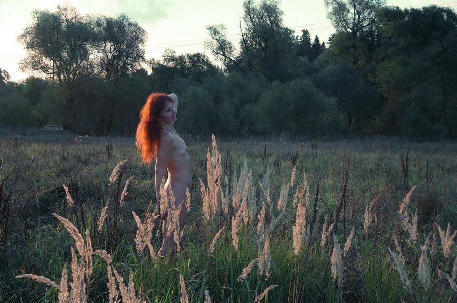 In Sunset Rays